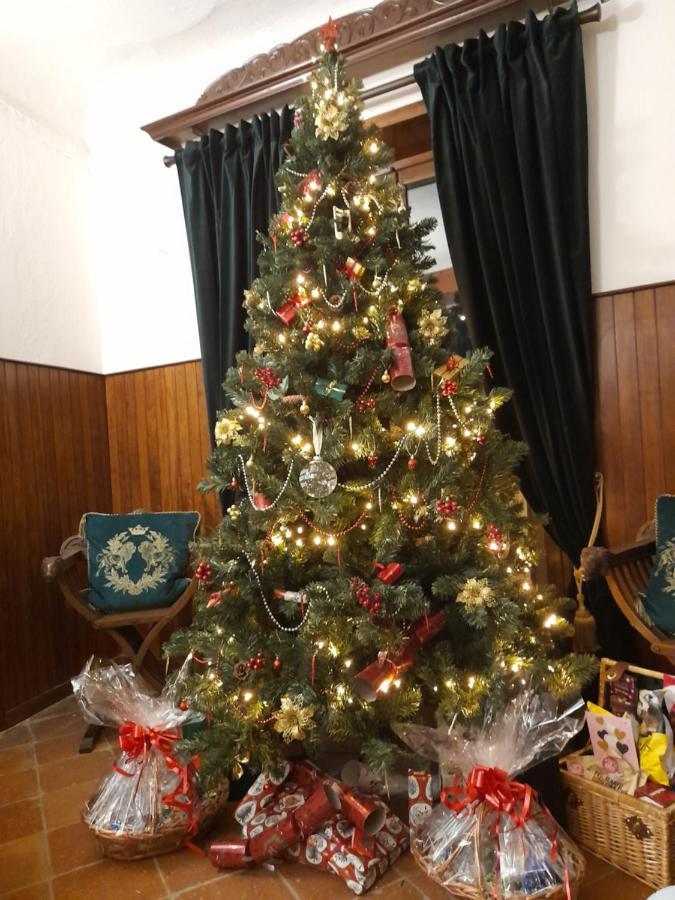 Monti Guesthouse Monti di Licciana Nardi ภายนอก รูปภาพ