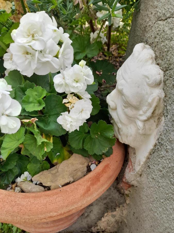 Monti Guesthouse Monti di Licciana Nardi ภายนอก รูปภาพ
