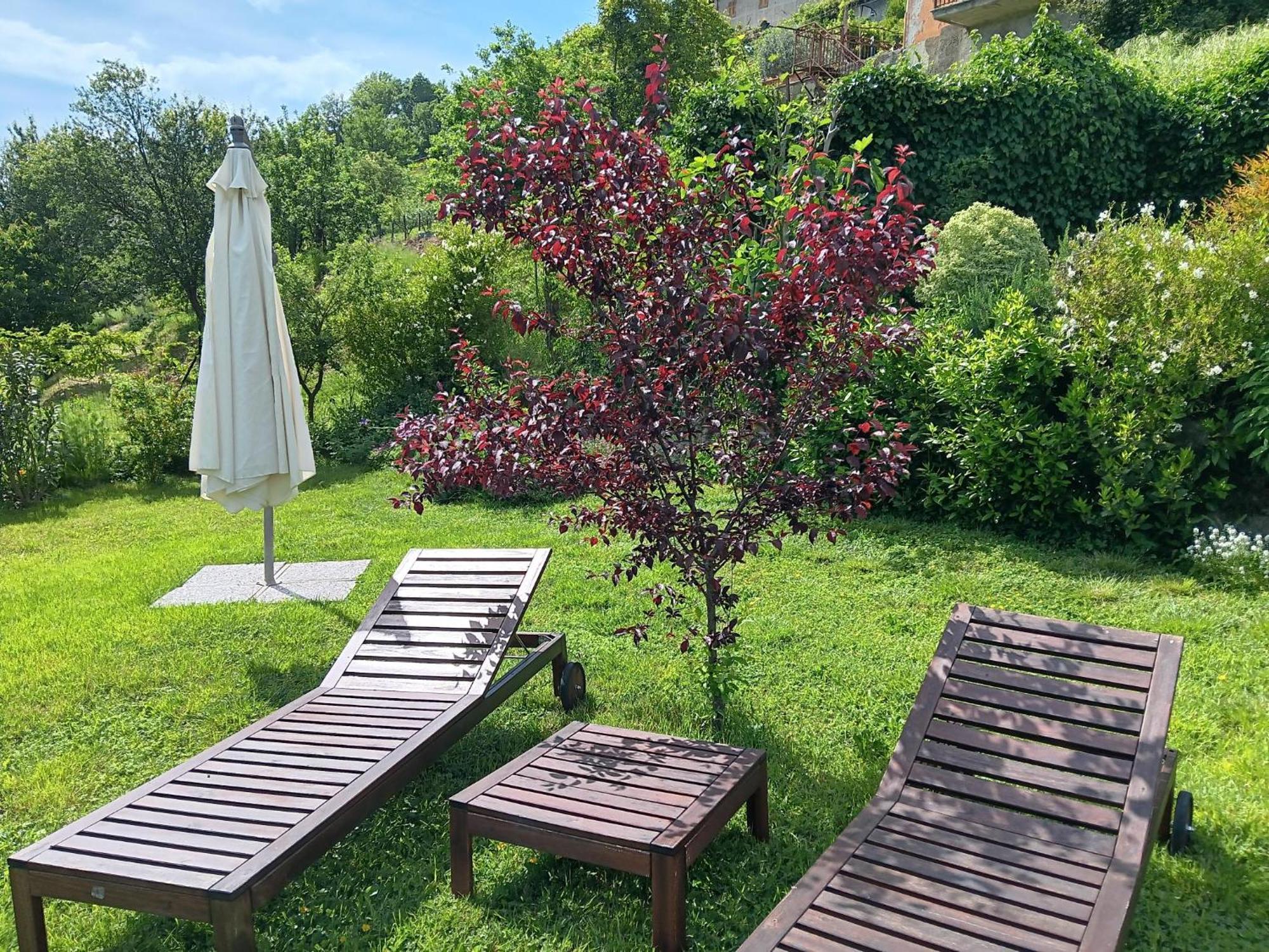 Monti Guesthouse Monti di Licciana Nardi ภายนอก รูปภาพ